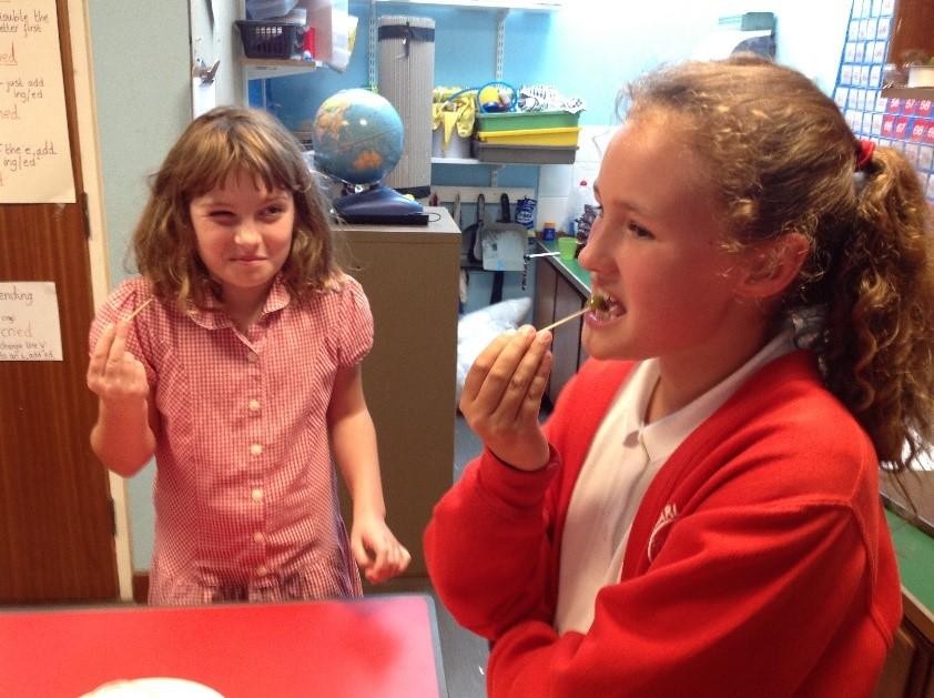 Exploring the food of Greece in Year 5