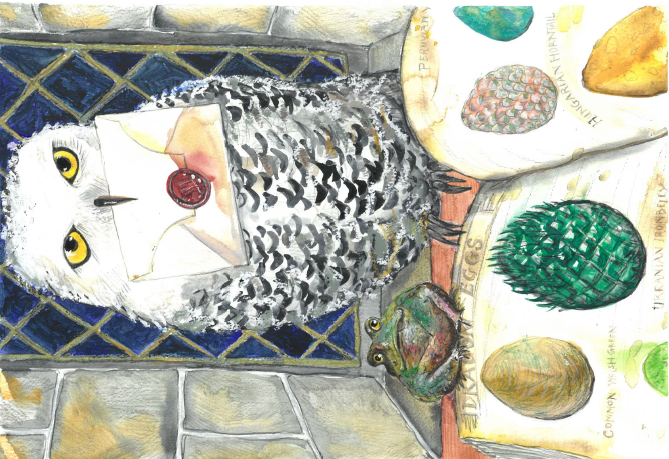 Class 6 Summer Learning