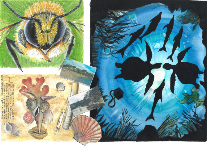 Class 3 Summer Learning