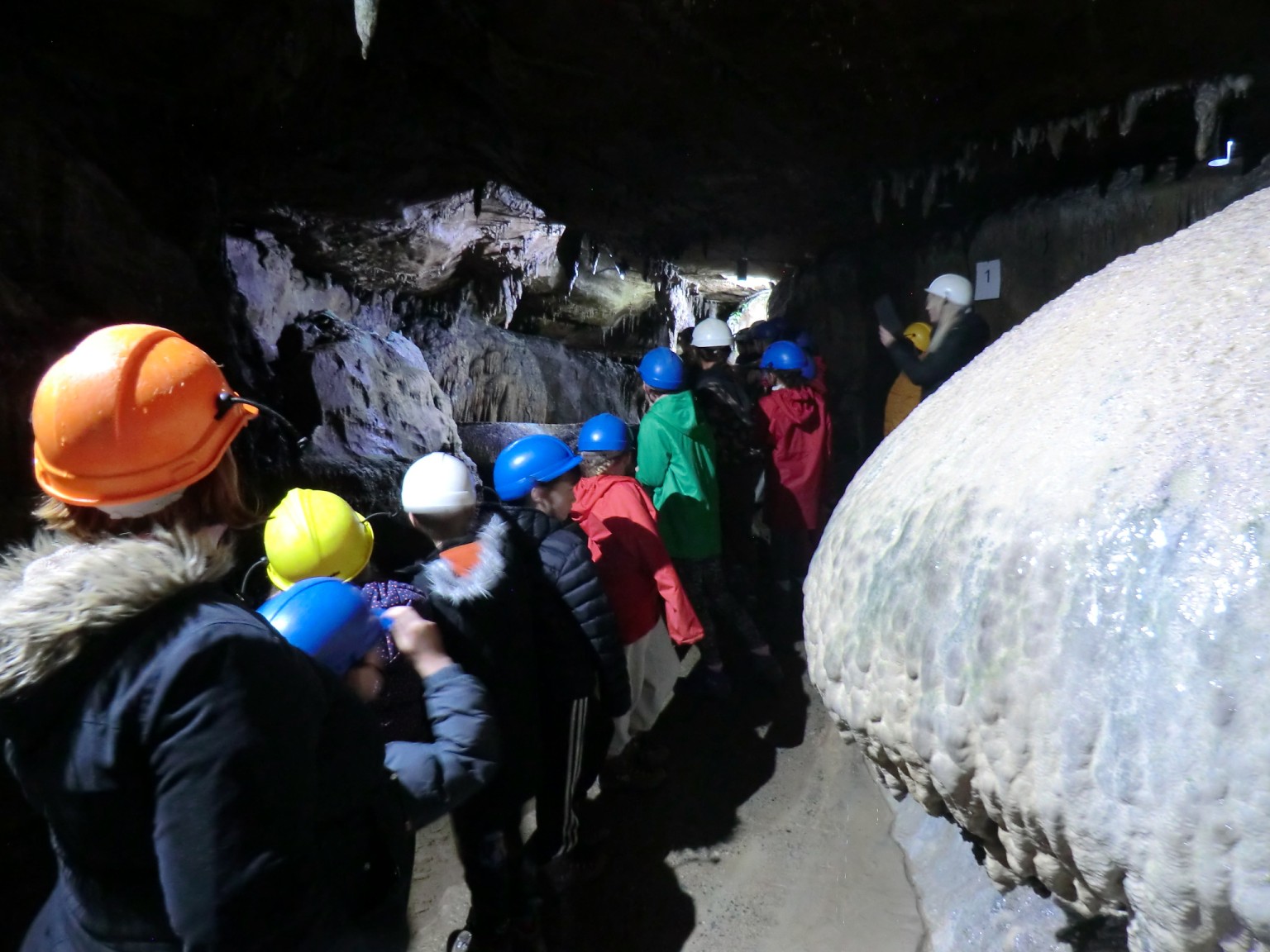 Ingleborough, Year 4