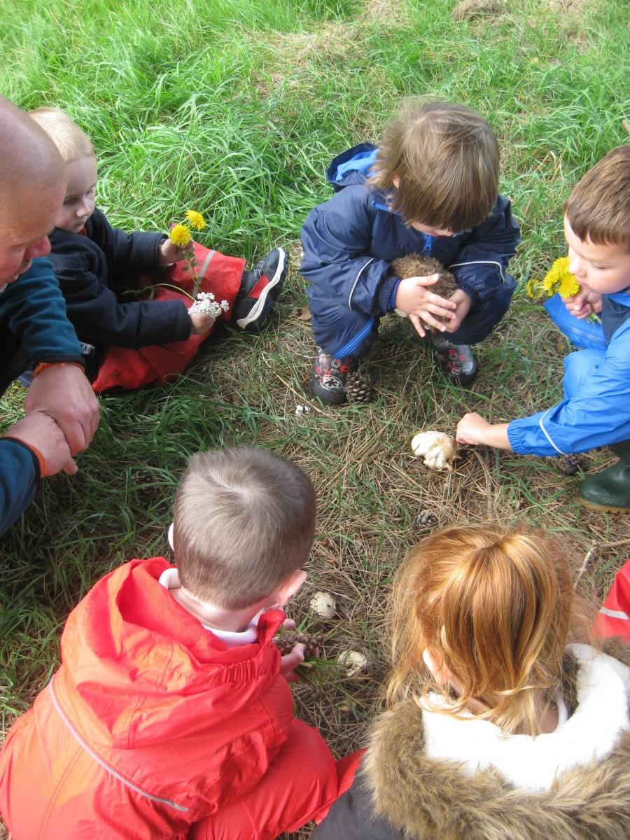 Looking at mushrooms.