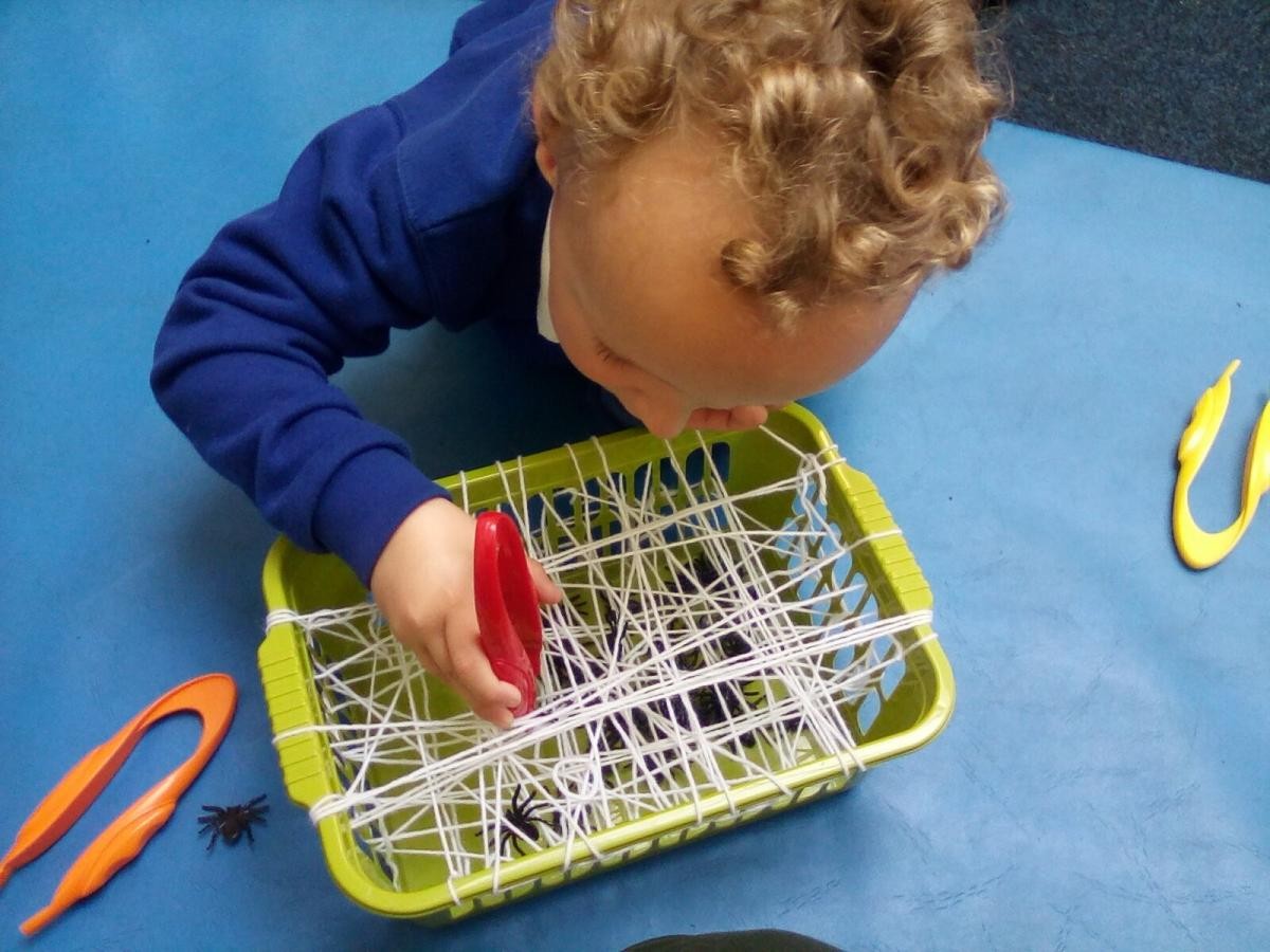 fine motor skill development