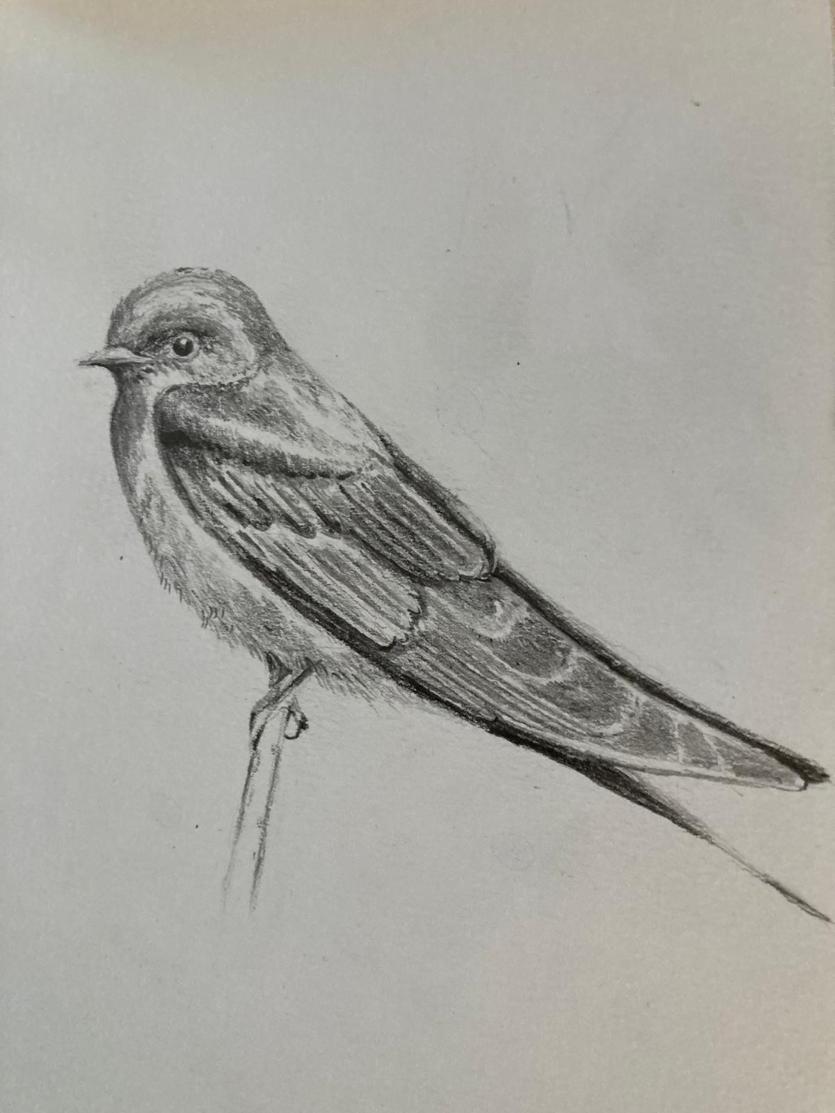 Teaches us about spirituality 