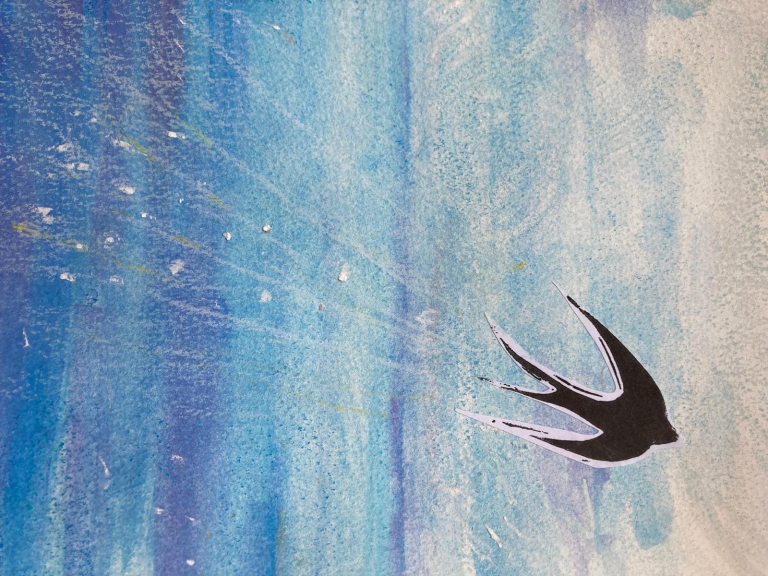 Swallow