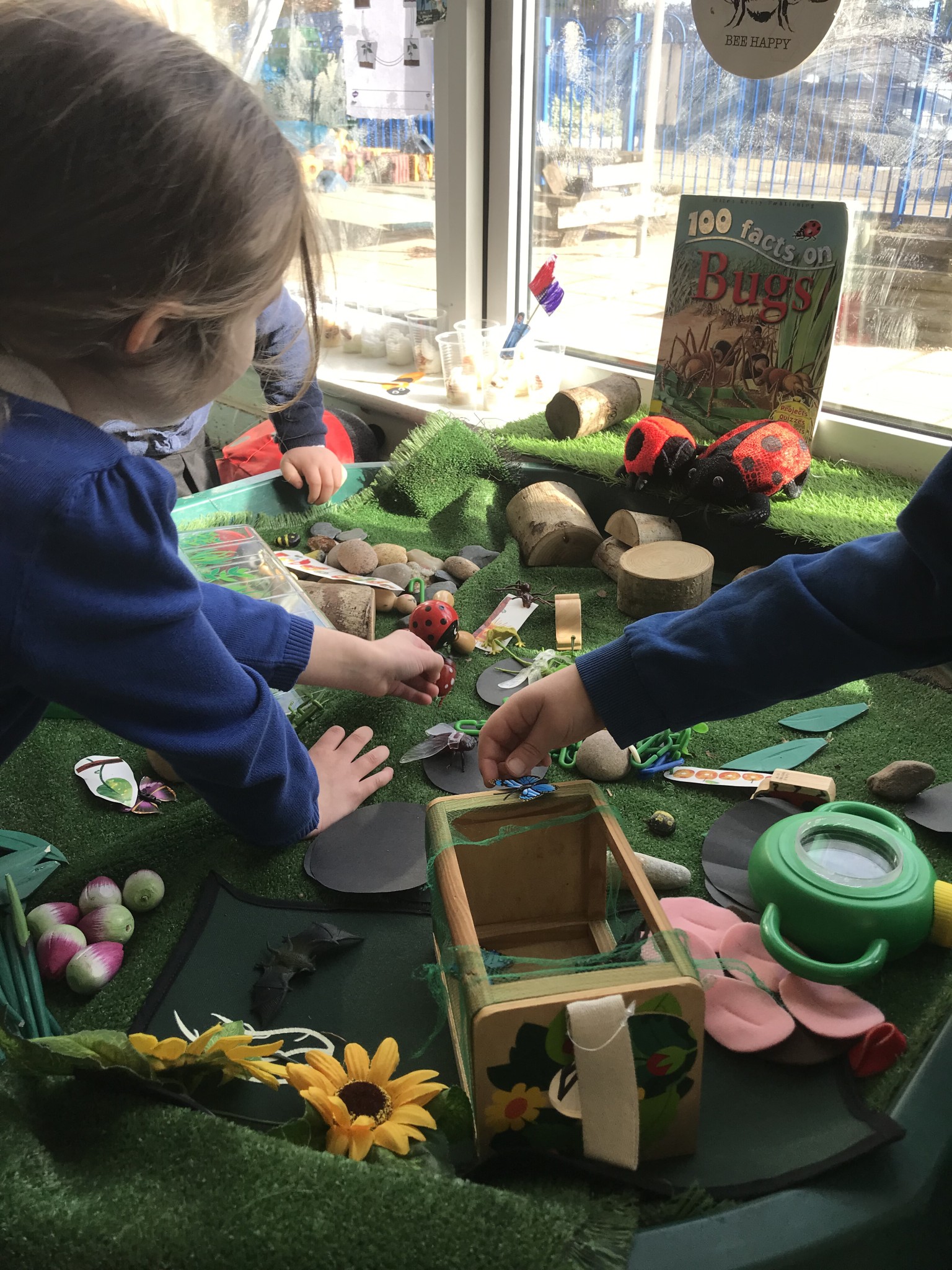 Minibeasts Garden