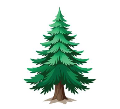 Pine