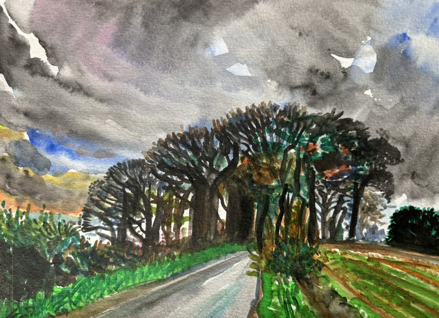 trees