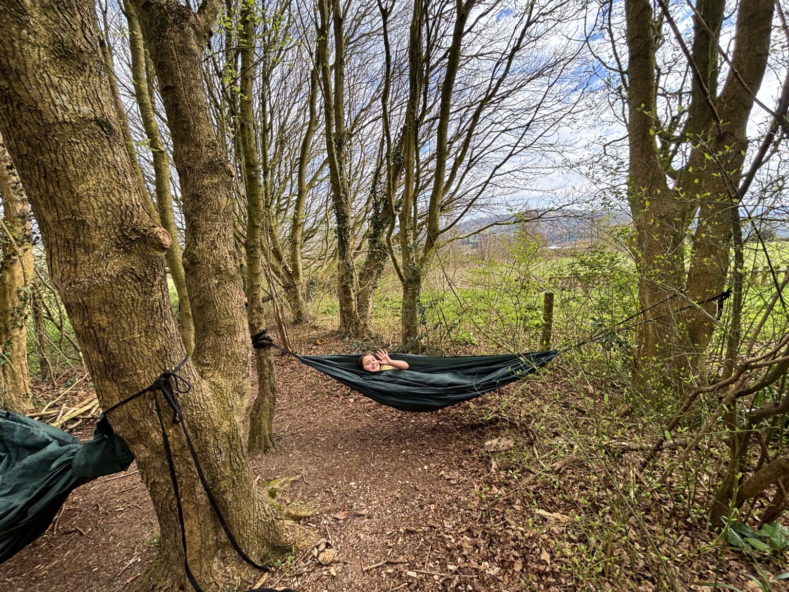 hammock