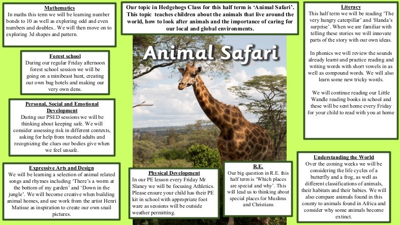 Curriculum Overview