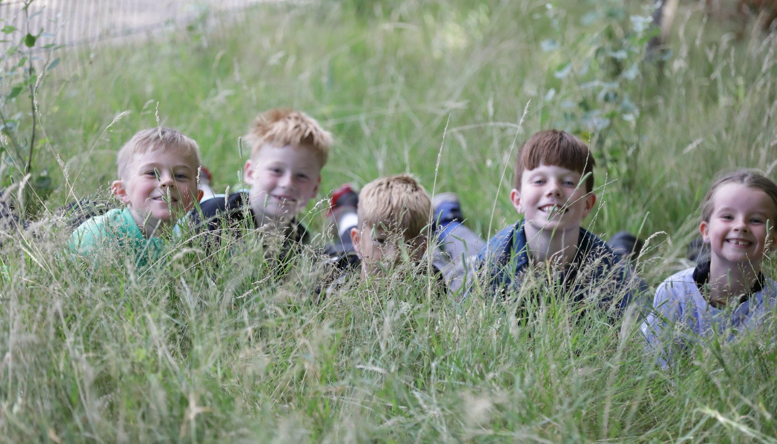 fun in the field