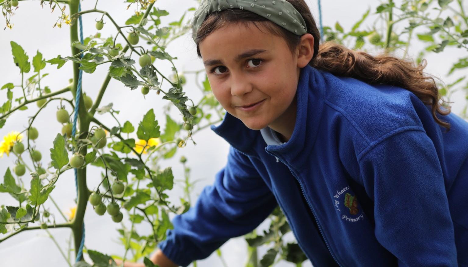 Tending to the polytunnel