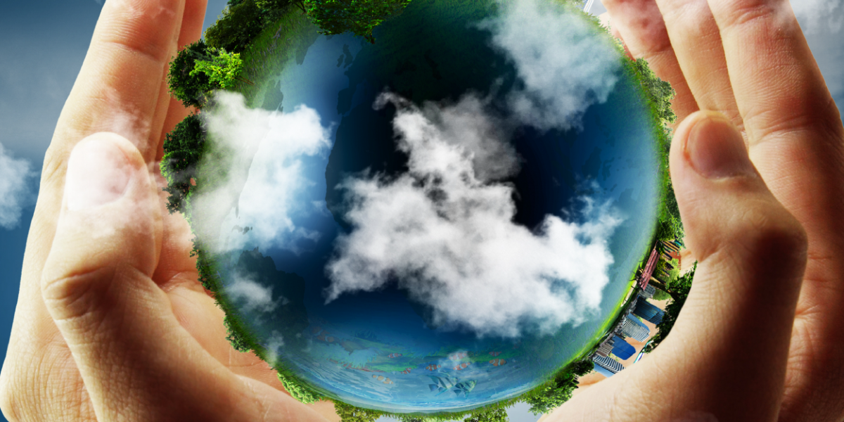 Sustainability and Climate Change