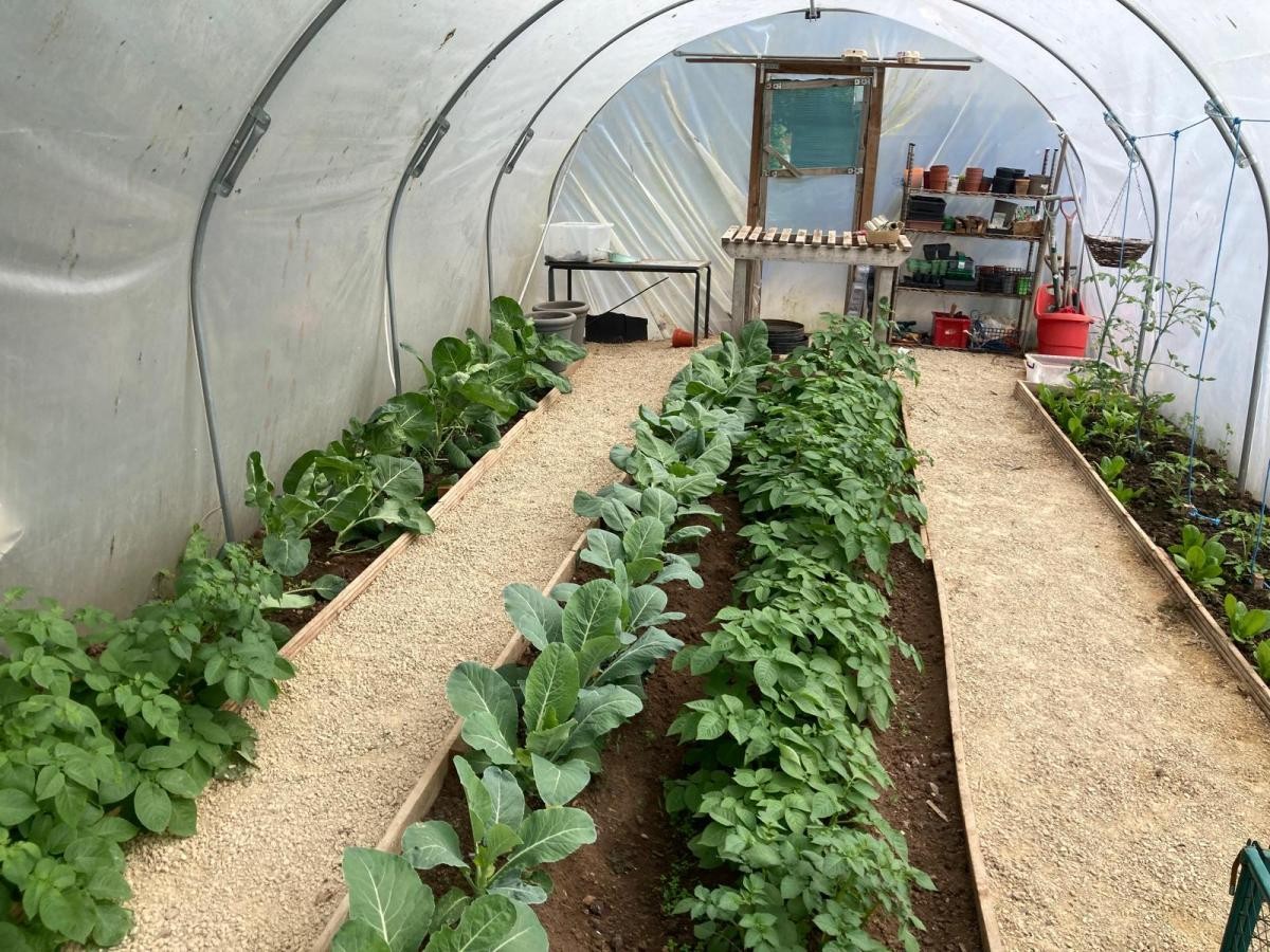 Our Polytunnel