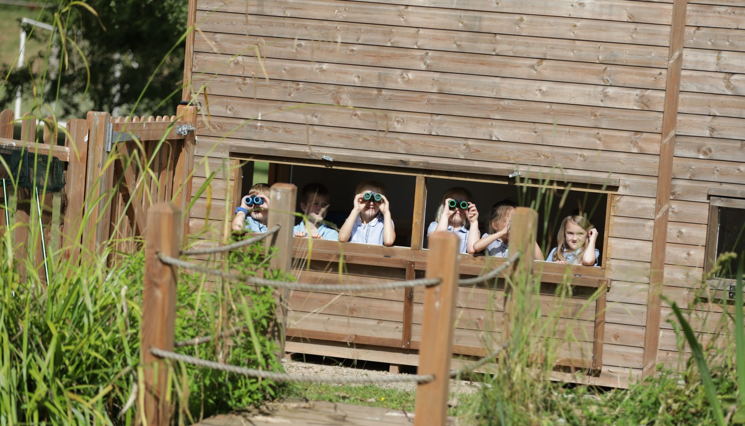 bird hide