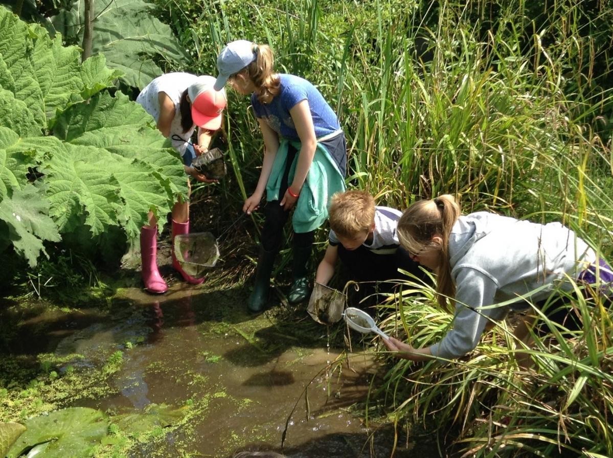 We always try to take our science outside wherever possible to enhance the children’s learning.  We enjoy using our pond for science.