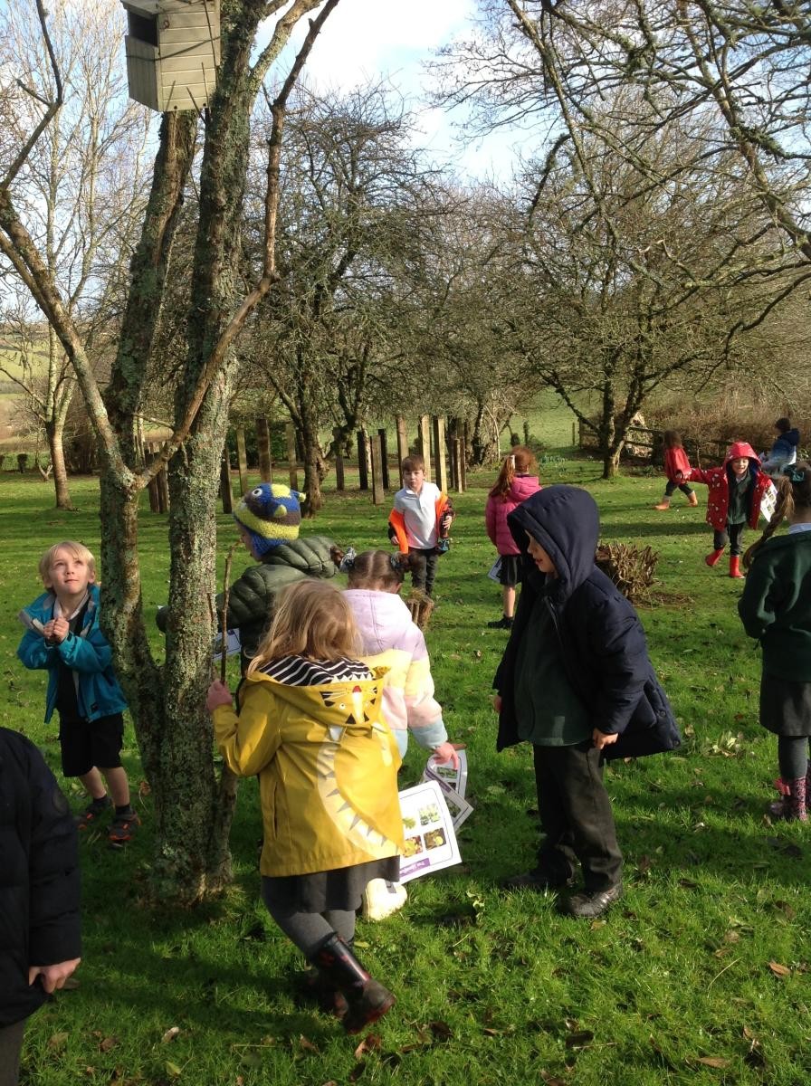 Identifying leaf shapes and tree types