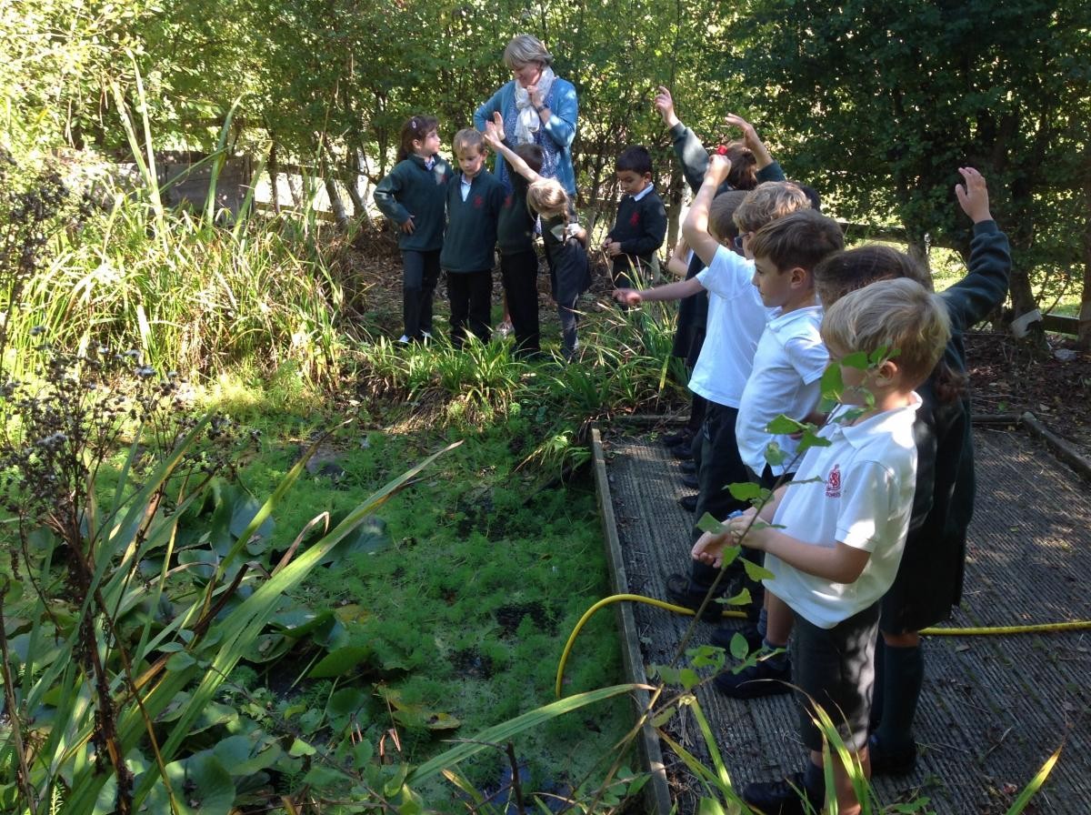 Y2 looking at habitats at our school pond.