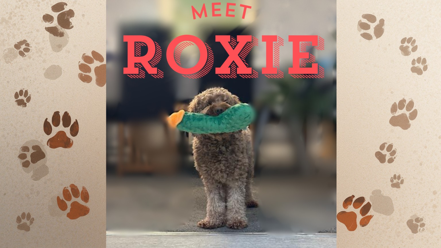 Roxie