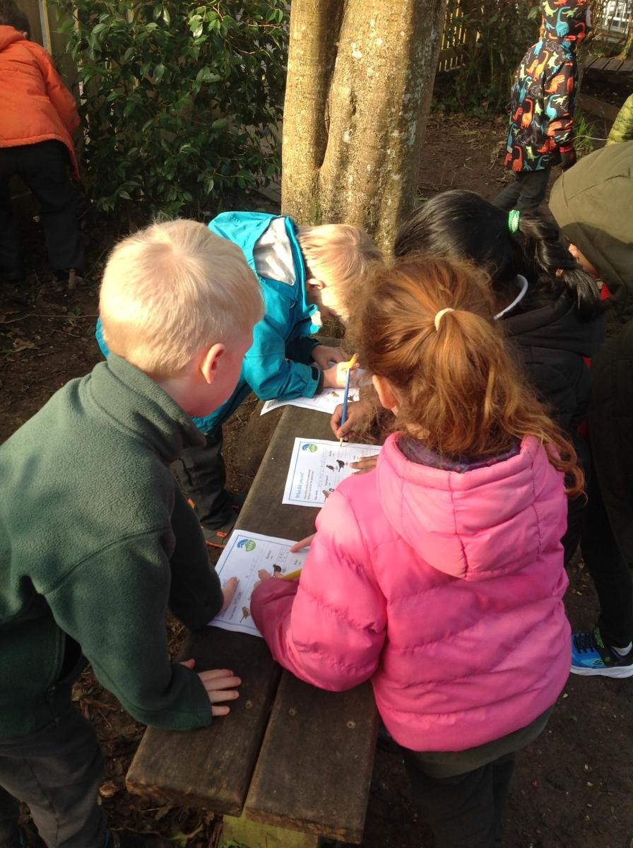 RSPB Big Garden Bird Watch