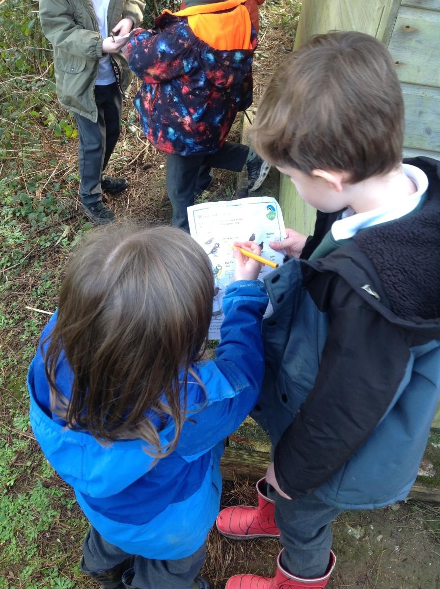 RSPB Big Garden Bird Watch