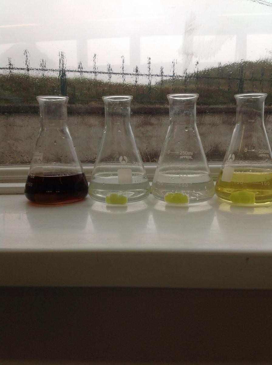 Year 5 Jelly Baby Challenge! Which one disintegrated first? Predict...