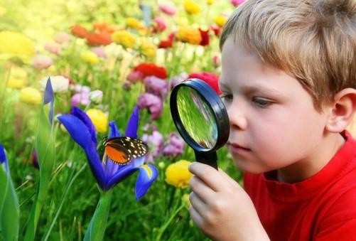 Marvellous Minibeasts