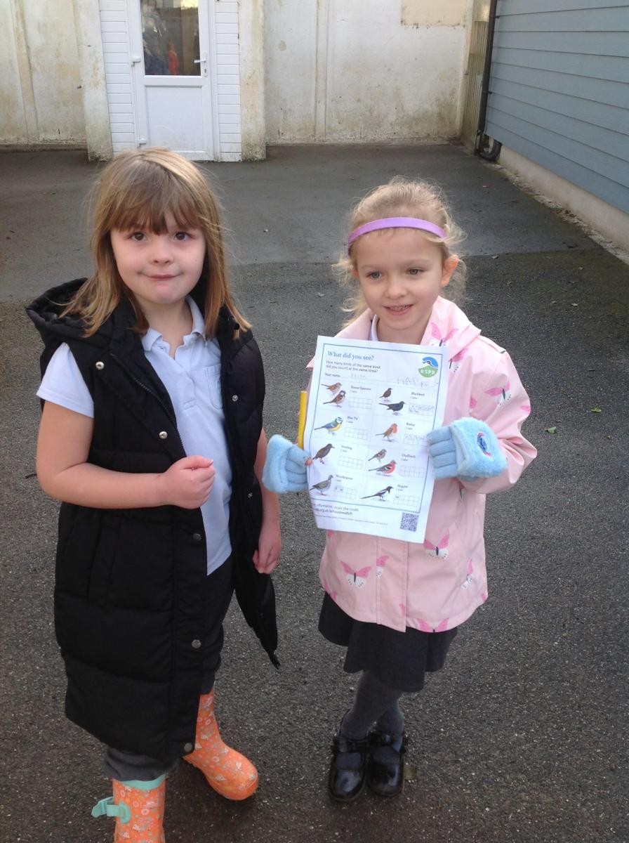 RSPB Big Garden Bird Watch