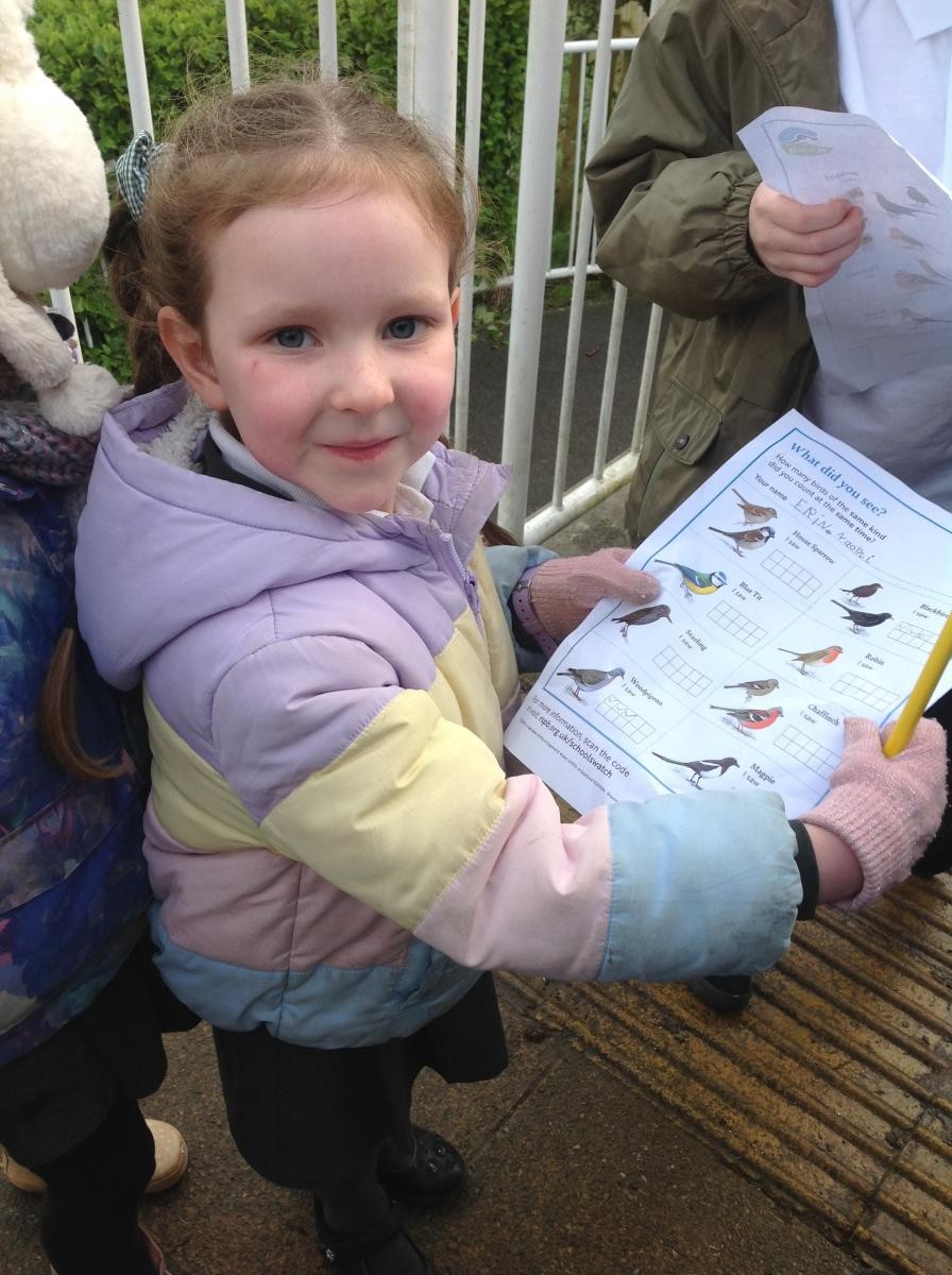 RSPB Big Garden Bird Watch
