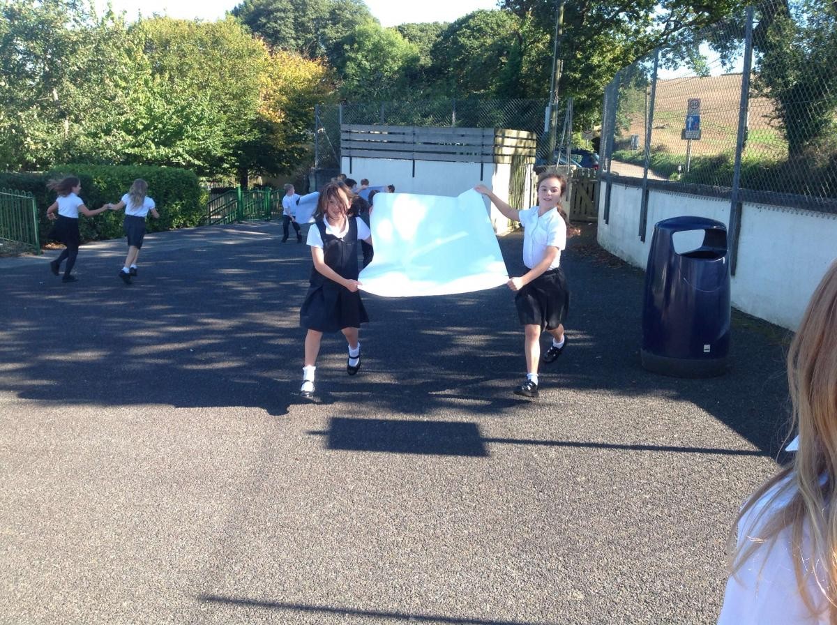 Y5 investigating parachutes...