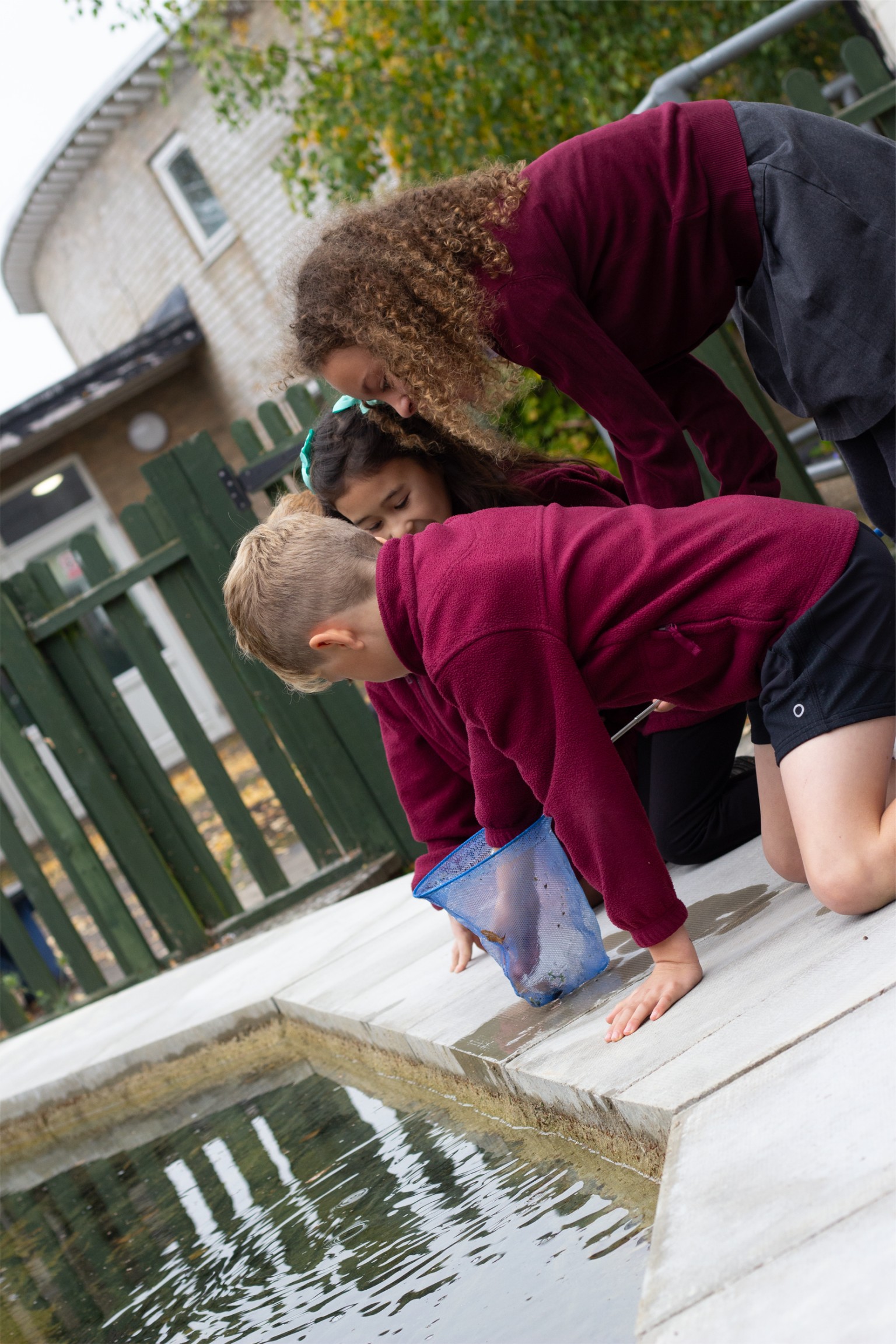 Children looking into a pond