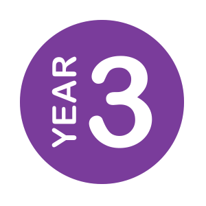 Welcome to Year 3's Class Page