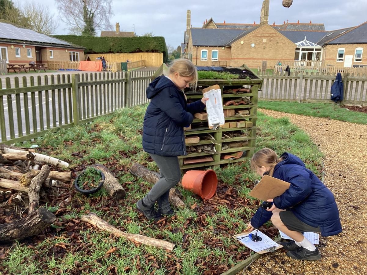 Children exploring nature area