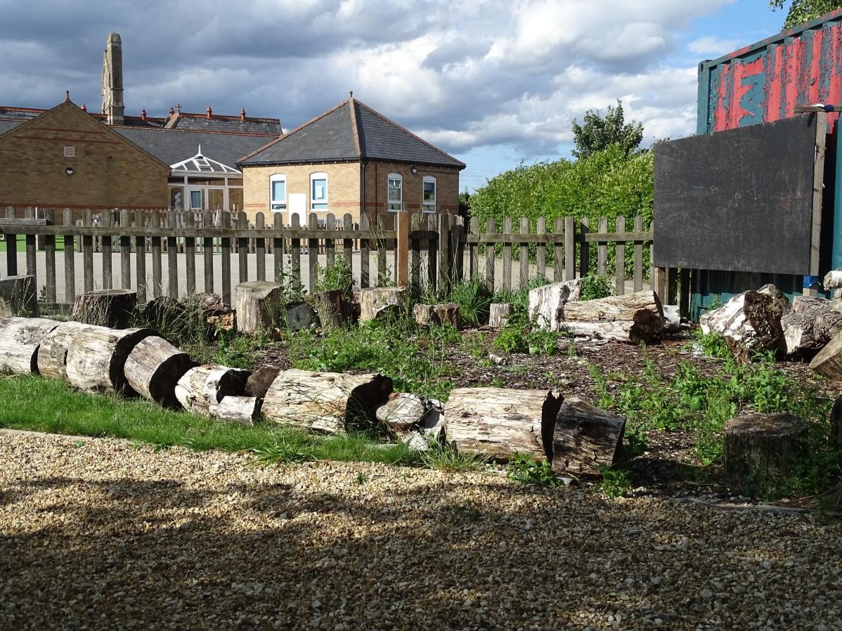 School outdoor area