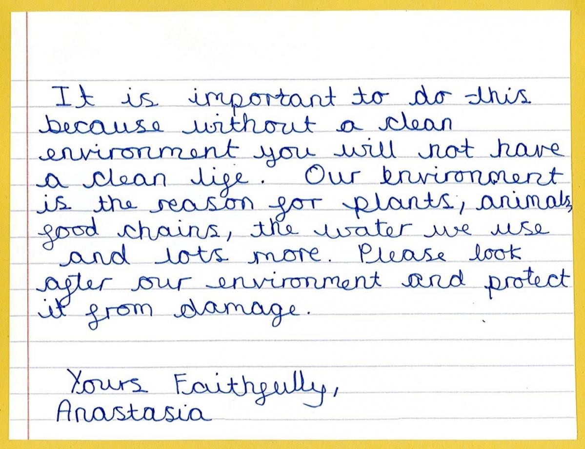 Looking after the environment