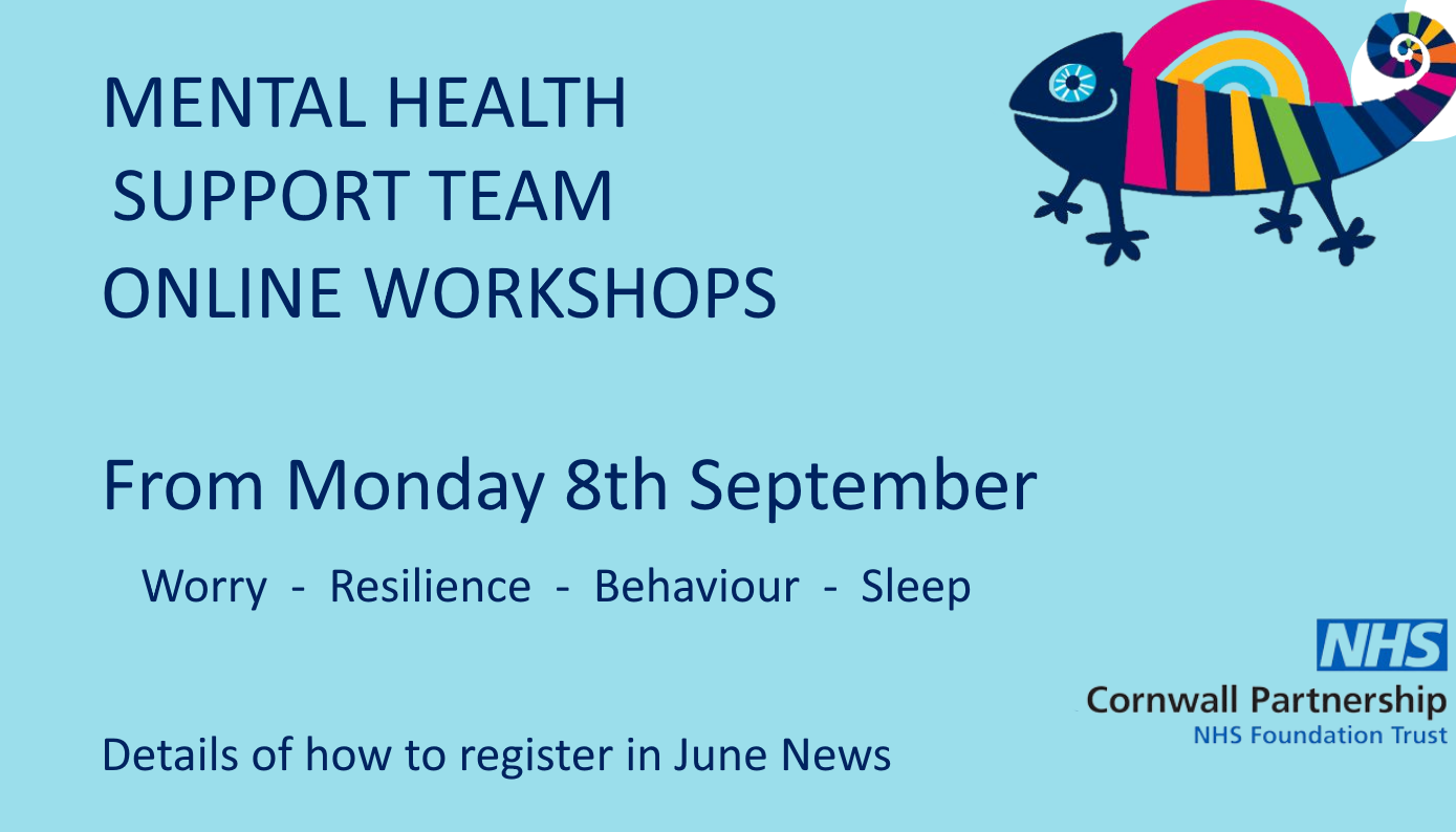 MHST workshops