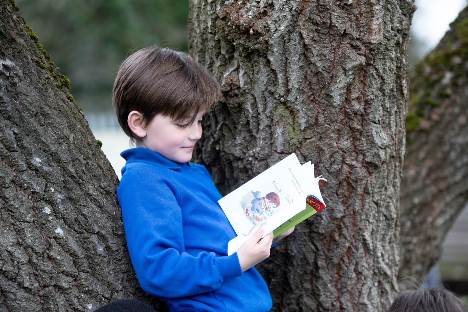 child leant against a tree reading a book 