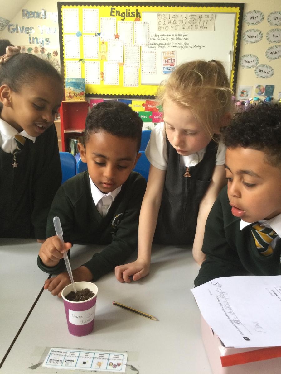 Demonstrating our scientific skills, as we measure the growth of our planted sunflower seeds, ready to update our weekly plant diary!
