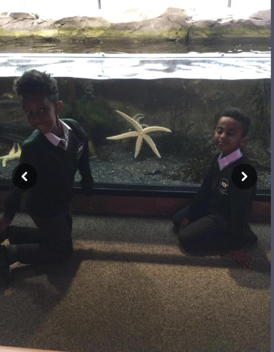 Visiting the National Marine Aquarium, as part of our Sea in our School project partnership.