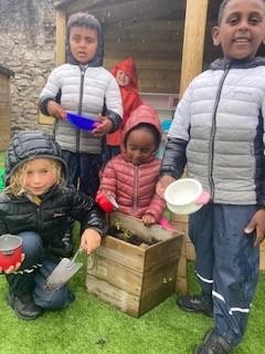 Tree planting in the rain