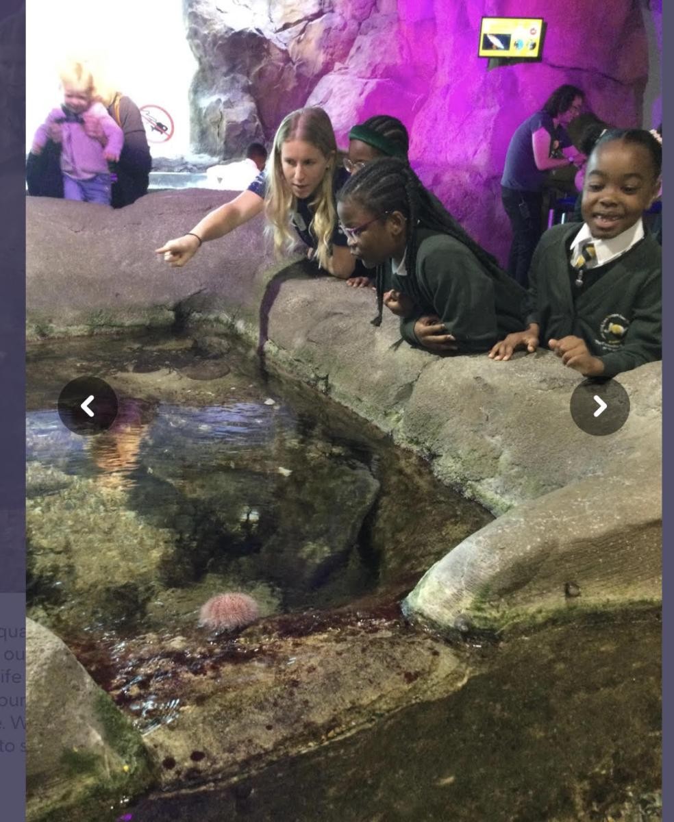 Visiting the National Marine Aquarium, as part of our Sea in our School project partnership.