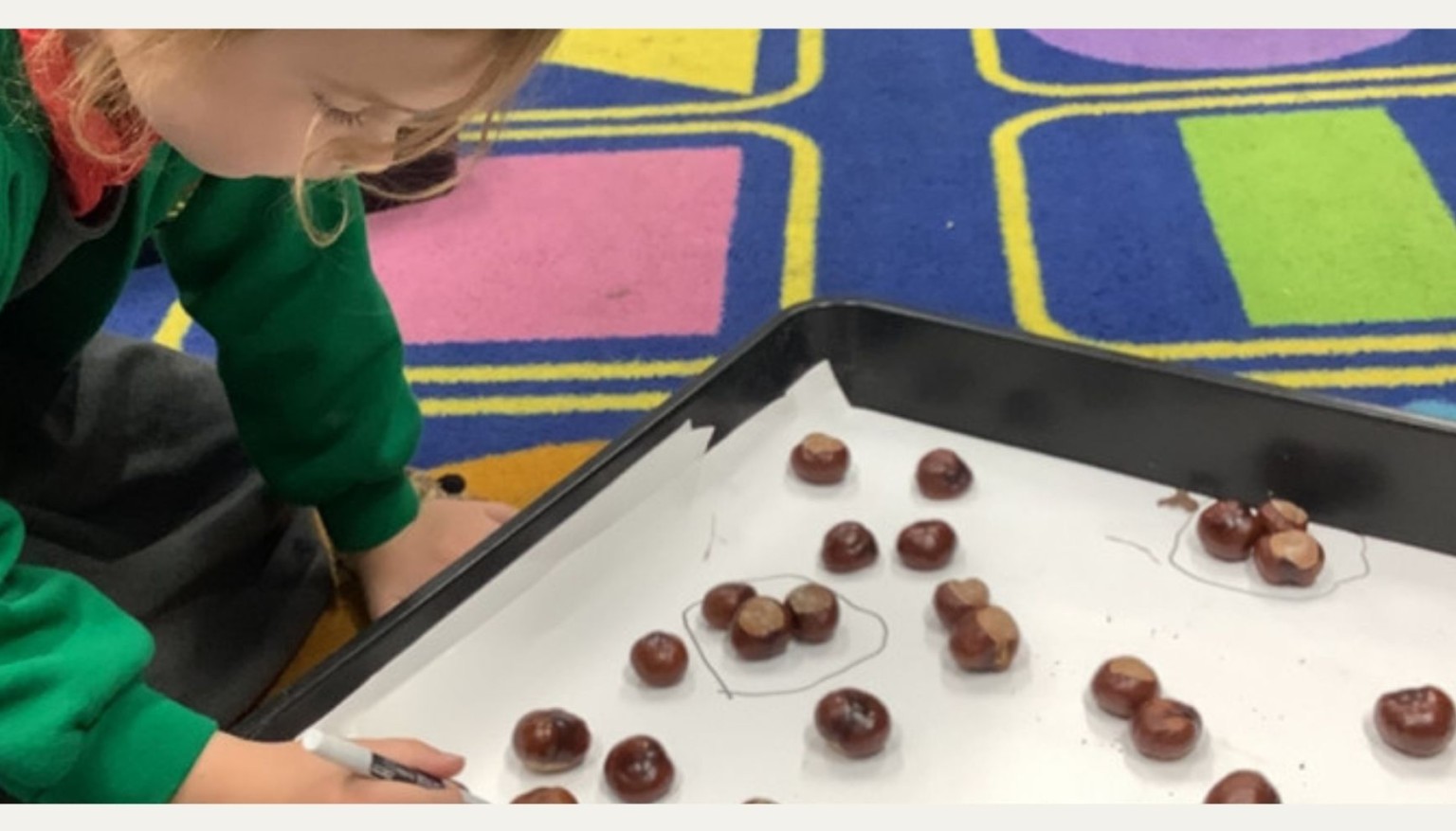 Great noticing skills with conkers
