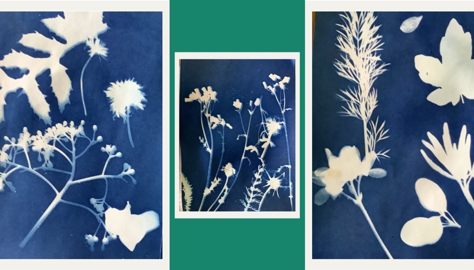 Exploring cyanotype paper - Reception
