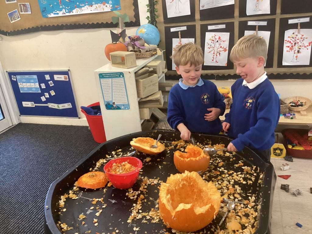 Reception pumpkin investigations