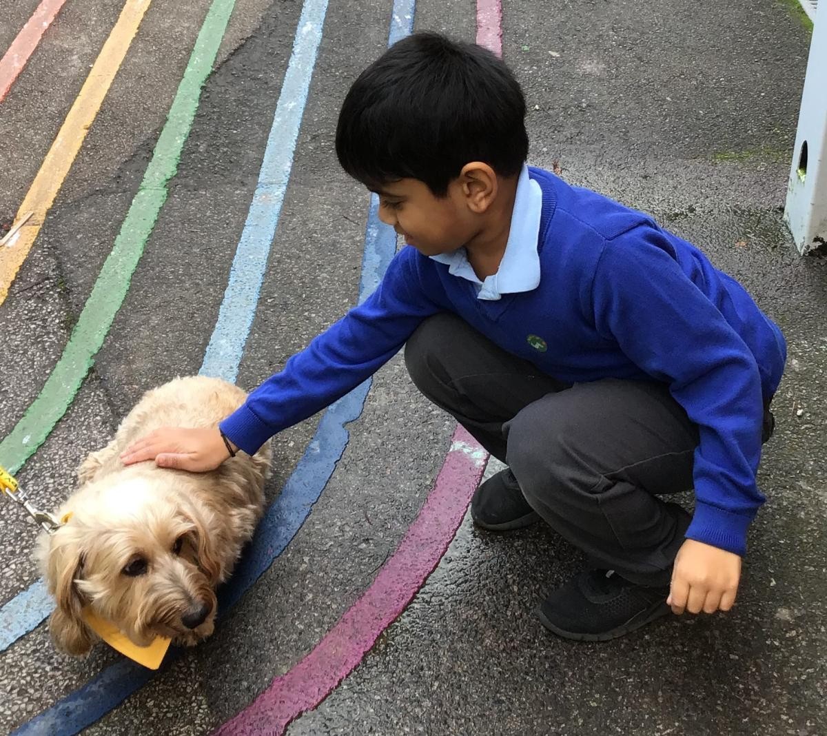 Lily investigating our outside classroom