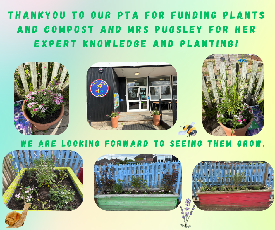 PTA plants