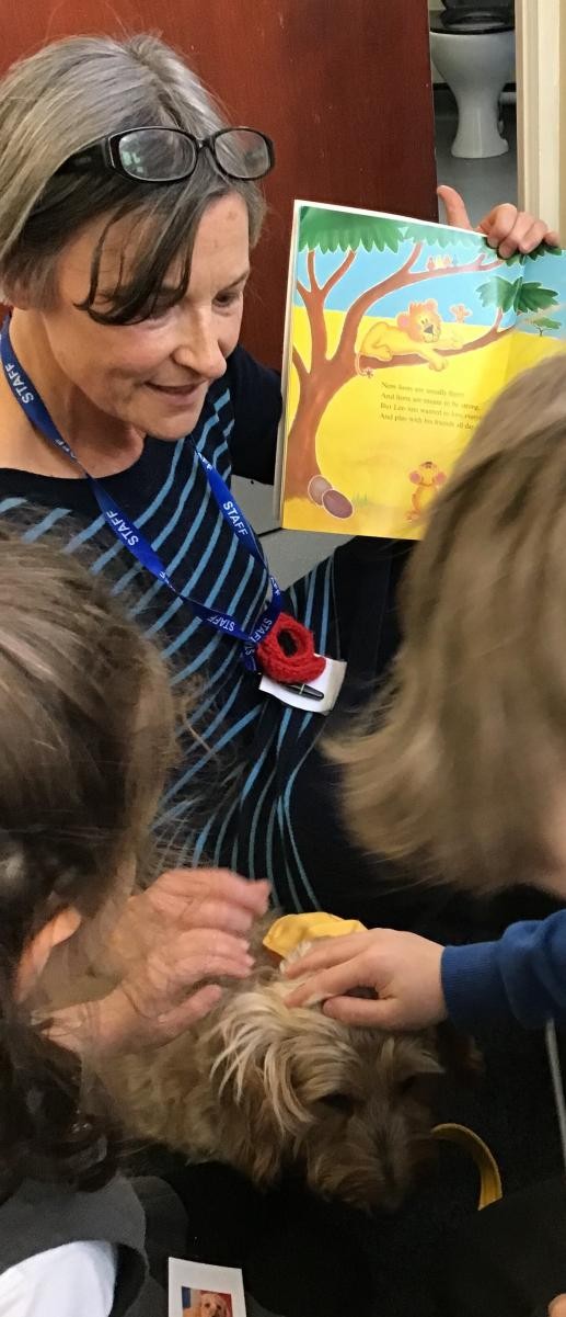 Story time with Lily the Therapy dog