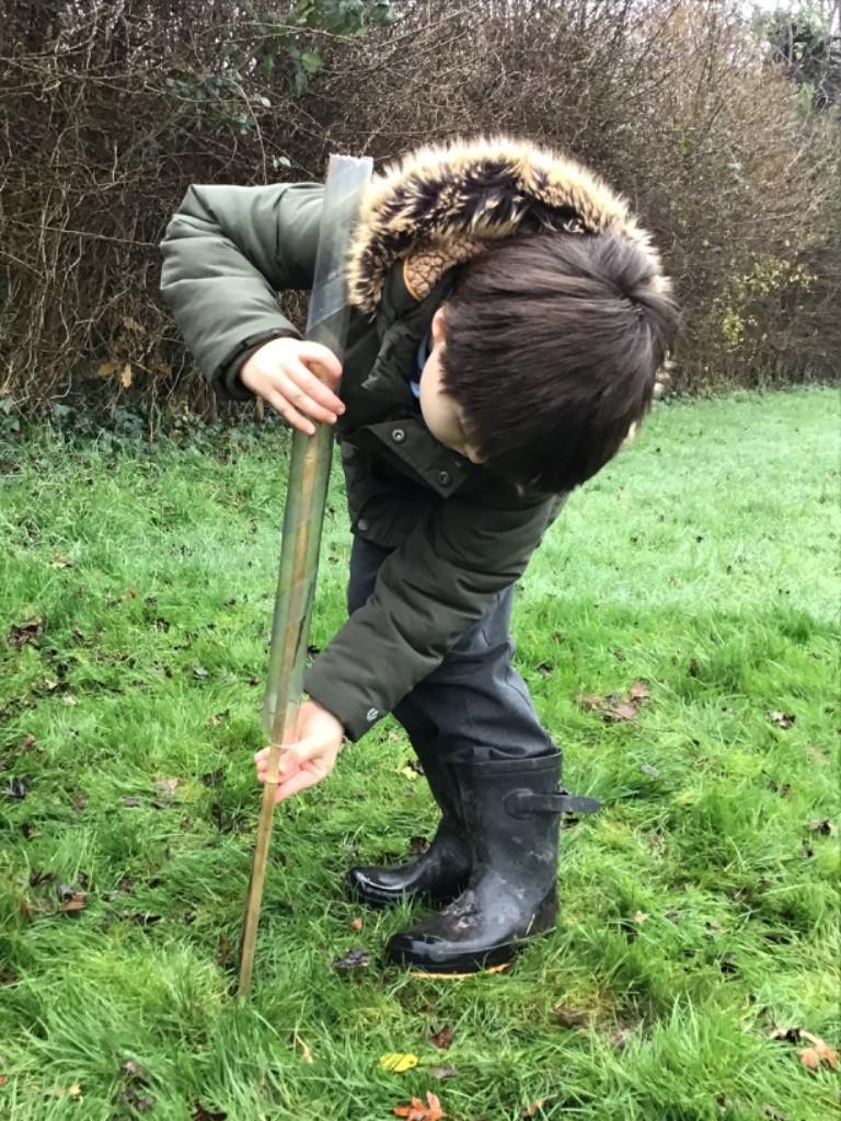 Tree planting