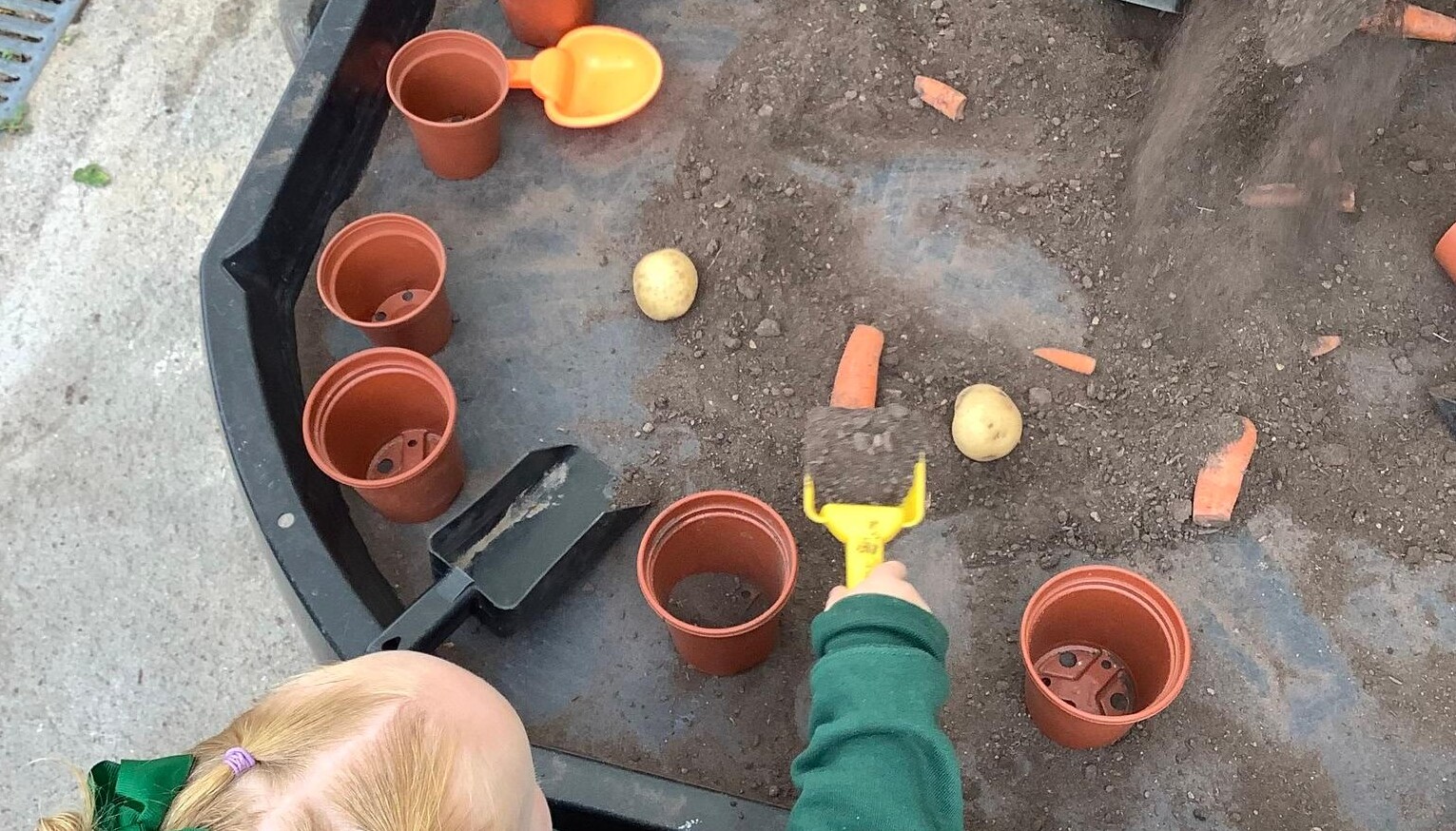 Planting and growing