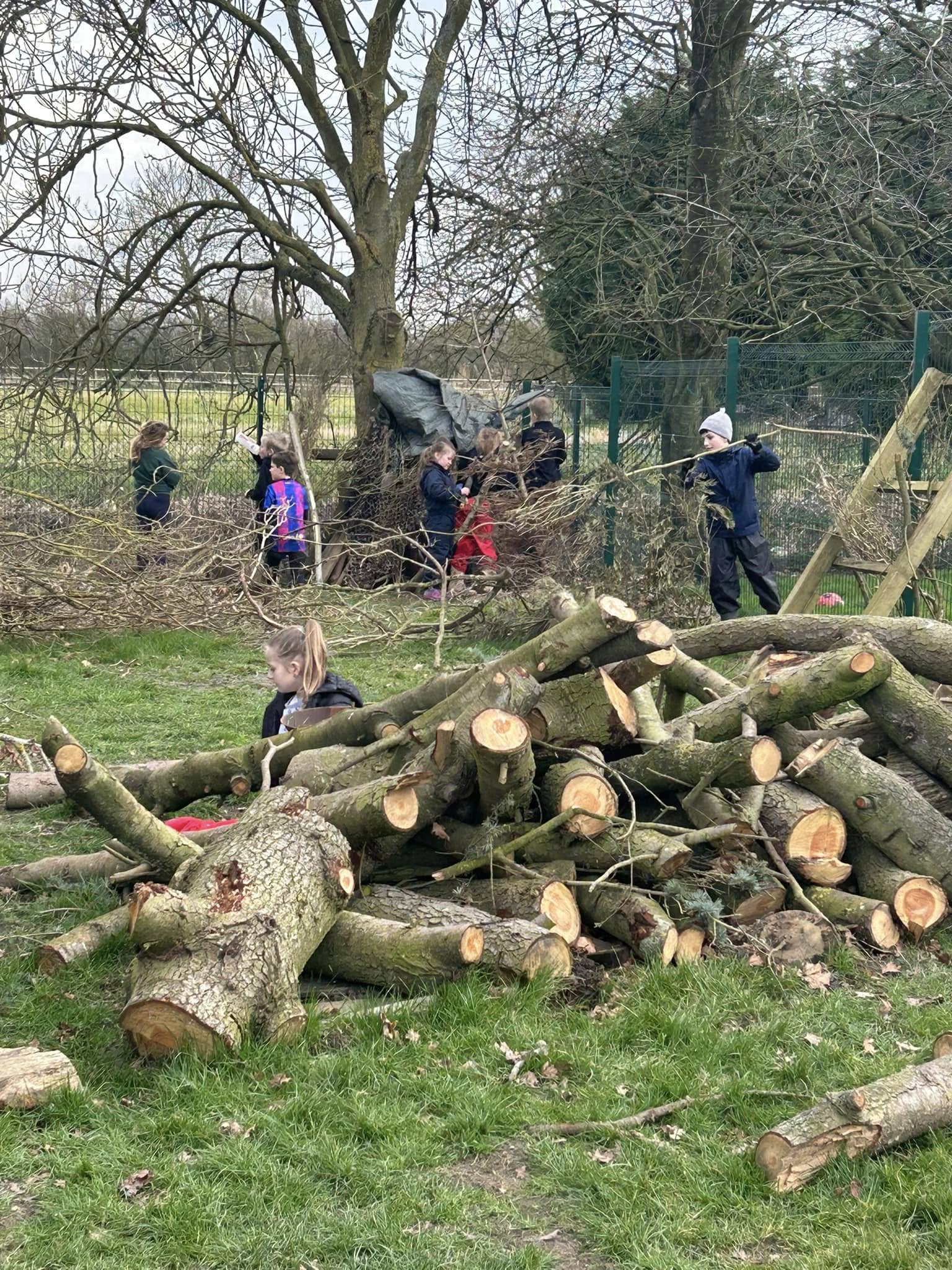 Forest School & Outdoor Learning