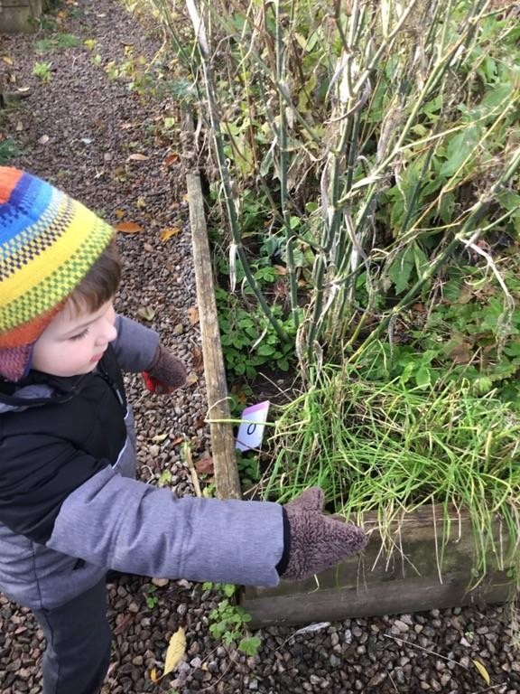 Outdoor Learning Phonics Activities (Reception)